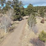 Screen Shot 2021-01-25 at 10.51.13 AM