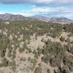 Screen Shot 2021-01-25 at 10.52.31 AM