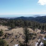 Screen Shot 2021-01-25 at 10.53.54 AM