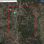 Screen Shot 2021-01-26 at 10.23.14 AM