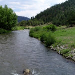 Screen Shot 2021-06-24 at 4.06.23 AM