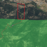 Screen Shot 2021-06-25 at 1.13.46 PM