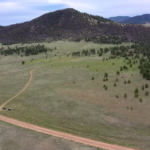 Screen Shot 2021-06-26 at 2.29.08 PM