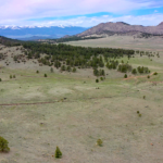 Screen Shot 2021-06-26 at 2.31.55 PM