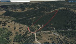 arial view of property