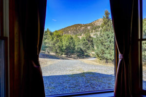 tree line from window