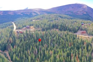 pinned location in forest