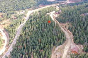 pinned location in forest