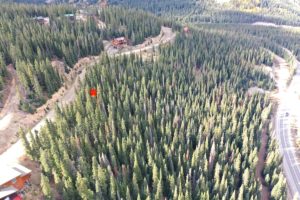 pinned location in forest