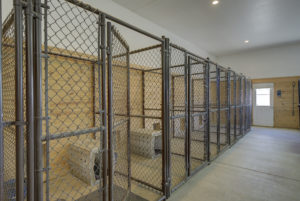 Indoor Kennels