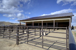 Outdoor Stalls