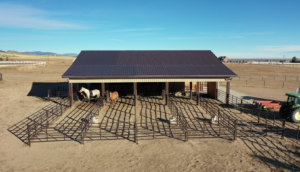 Barn Stalls