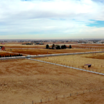 Loafing Sheds in Pastures