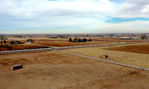 Loafing Sheds in Pasture