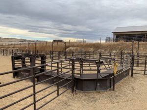Roping Chute & Box