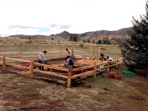 Building raised garden beds