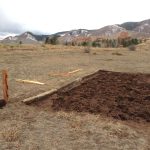 IMG_0156. garden area before start of boxes JPG