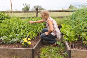 Helene checking plants in garden