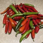 IMG_0022.serano peppers jpeg