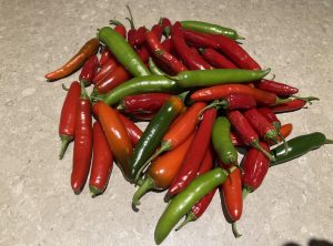 cluster of serano peppers on counter