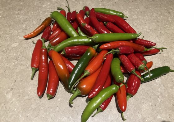 cluster of serano peppers on counter