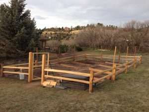 Finished Garden Raised Beds and Enclosure