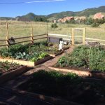 IMG_0086.early summer pic pano jpg