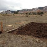 IMG_0156. garden area before start of boxes JPG