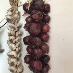 IMG_0196.braid of garlic, red onionJPG