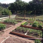 IMG_0352.early garden pano 4:14? jpg