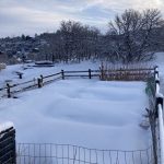 IMG_0366.snow on garden jpeg