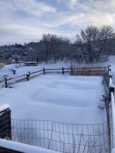 snow covering raised garden beds