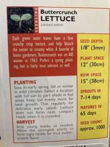 directions on back of seed packet