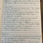 IMG_0385.excert from journal jpeg