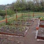 IMG_0978.early pano post hail storm JPG