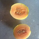 IMG_1310.pic of cantelope JPG