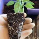 04179717-E75E-4835-9E44-56A5F3EB6E68_1_105_c