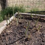 9AD43A8B-E98D-453D-A96E-5AB640EB9523_1_105_c