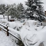 IMG_2044.sept snowfall on tarps jpeg