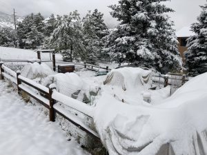 snow covered tarps in garden