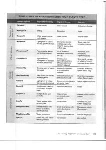 plant nutrient chart
