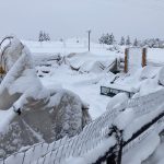 24A1E376-09E2-4996-B4C4-548EDAA2DE5C_1_105_c