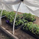 47C62F9A-1F27-40D9-9892-597355724EE6_1_105_c