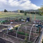 A6F03A2A-7B1F-44F6-AAFC-5A1519102E22_1_105_c