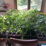 B7DC206C-DD10-4BFC-8258-7BCCB3B068A4_1_105_c