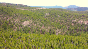 aerial view 70 acres