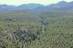 view of creek bottom