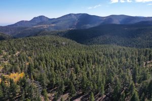 Fall view to the Southeast