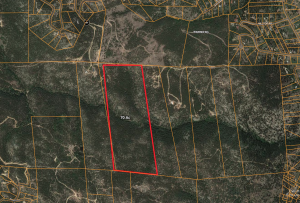 boundary with parcels surrounding