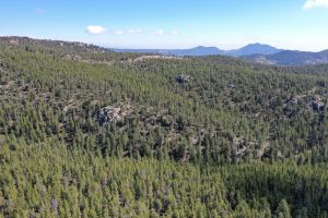 aerial view looking to north east